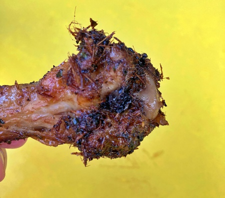 Heavily marinated chicken wing